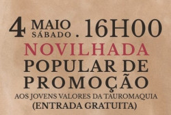 NOVILHADA DE PROMOÇÃO ABRE FIM-DE-SEMANA TAURINO NA PALHA BLANCO
